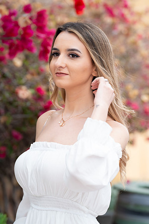 LR_-0342
