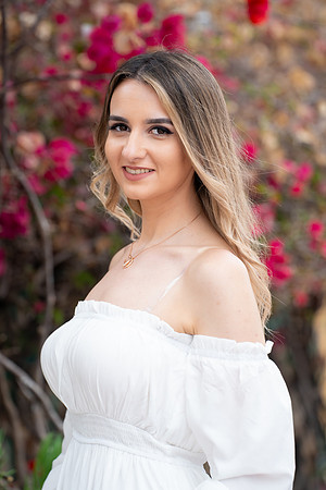 LR_-0341