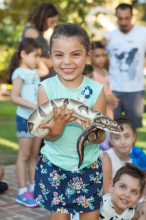 IMG_-0317